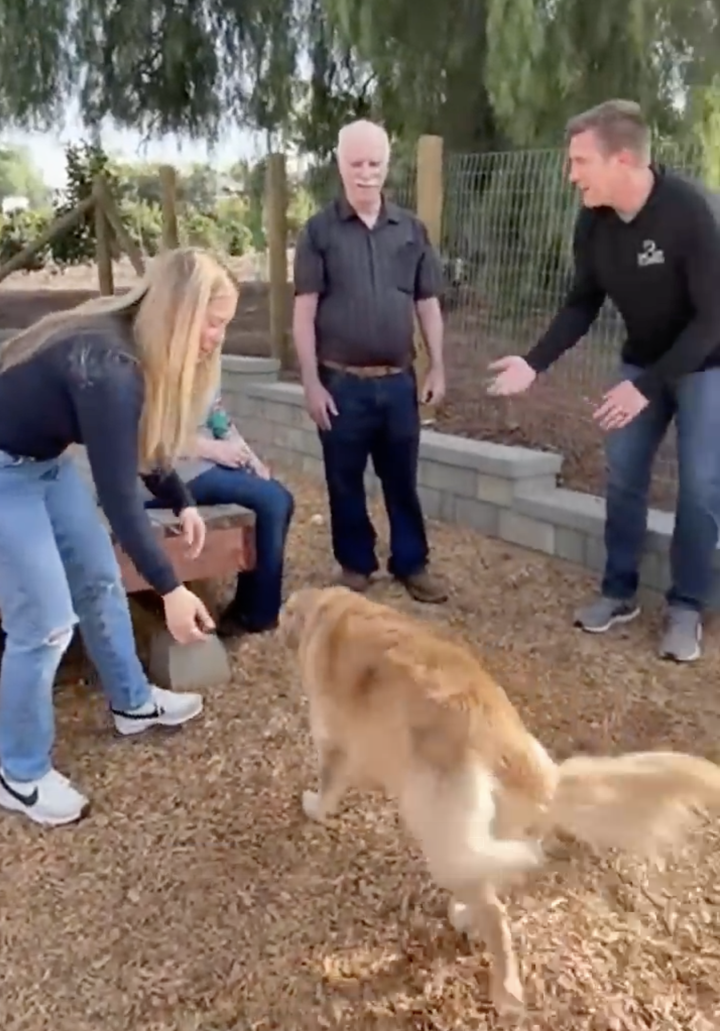 This Shut-Down Shelter Dog Finally Found Her Forever Home—Wait Until You See Her Reaction!